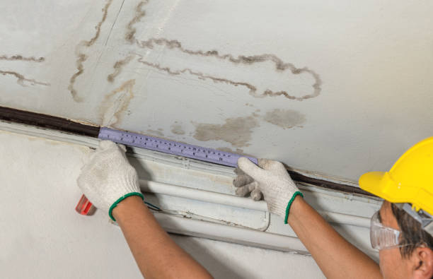Reliable Water Damage contractor in Kettlersville, OH by Water Damage Irwin